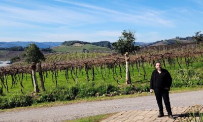 Parreiral da Vinícola Fantin, um dos encantos do Vale dos Vinhedos na Serra Gaúcha