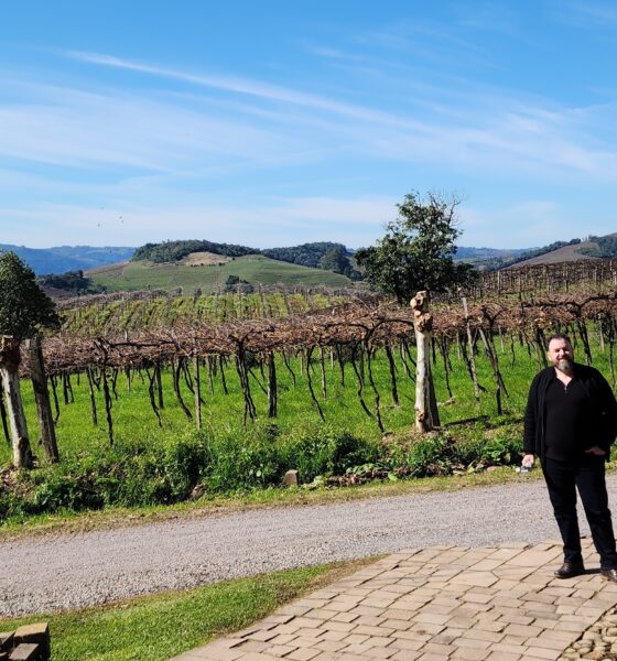 Parreiral da Vinícola Fantin, um dos encantos do Vale dos Vinhedos na Serra Gaúcha