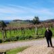 Parreiral da Vinícola Fantin, um dos encantos do Vale dos Vinhedos na Serra Gaúcha