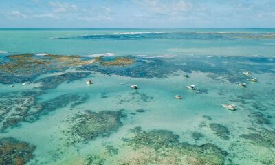 Mar cristalino em Maceió, uma das praias mais bonitas do Nordeste brasileiro